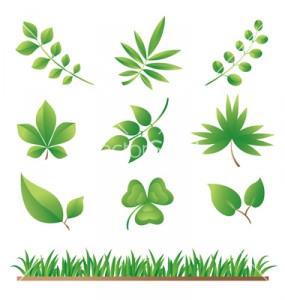 grass-and-leaves-vector-252853