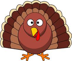 500+ Turkey Pictures & Images [HD] - Pixabay