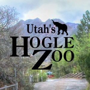 hogle-zoo