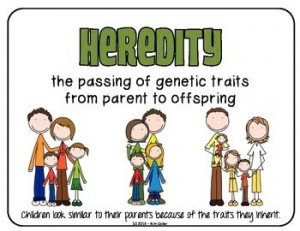 Heredity