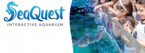 seaquest-interactive-aquarium