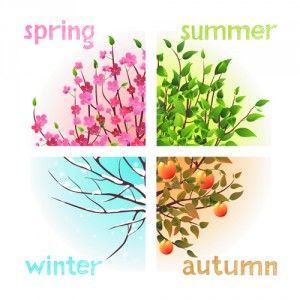 Seasons